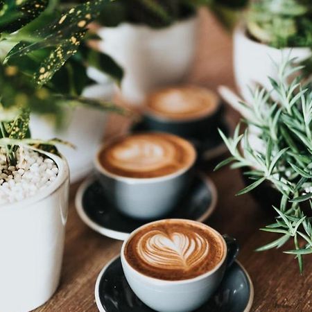 Ganze Ferienwohnung 5 Km Von Erfurt, Mit Kaffeevollautomat, Tv, Wlan, Boxspringbett, Schlafsofa Und Einkaufsmoeglichkeiten, Sehr Gute Anbindung Zur A71 Und A4, Kostenloser Oeff Parkplatz Fuer Pkw Und Transporter Elxleben Buitenkant foto